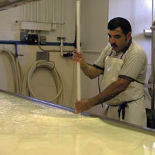 Vella Cheese 3